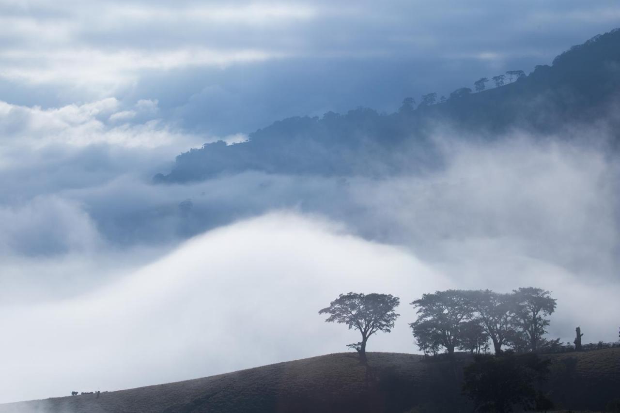 Pousada Terra Dos Passaros São Bento do Sapucaí Dış mekan fotoğraf