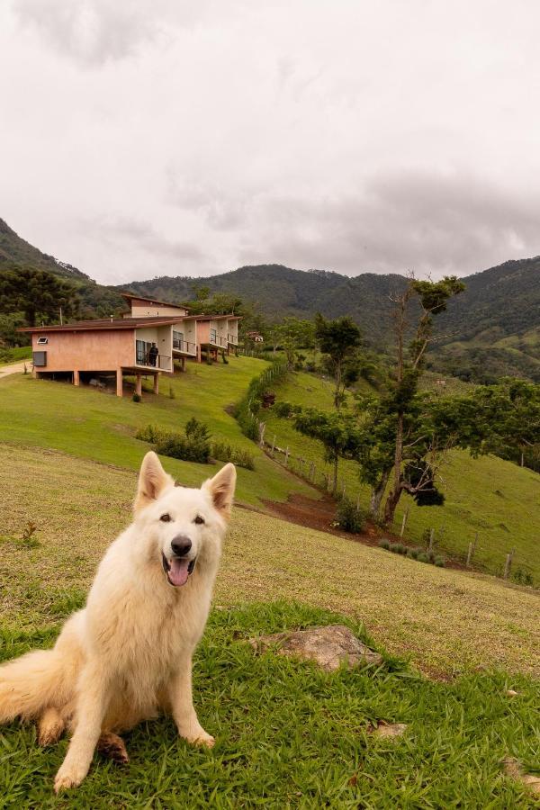 Pousada Terra Dos Passaros São Bento do Sapucaí Dış mekan fotoğraf
