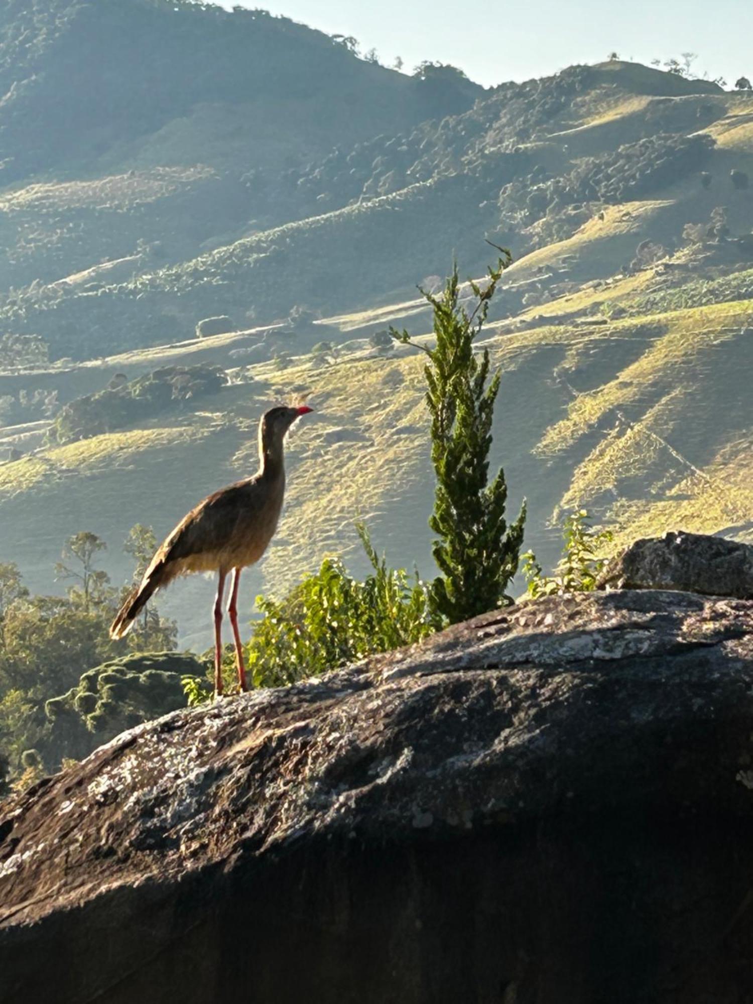 Pousada Terra Dos Passaros São Bento do Sapucaí Dış mekan fotoğraf